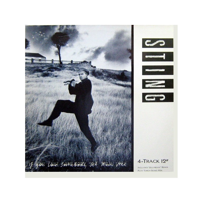 Sting: If You Love Somebody Set Them Free, 12" 45 rpm, maxi-single, A&M Records 082839201810