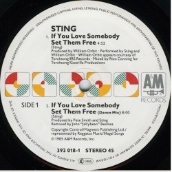 Sting: If You Love Somebody Set Them Free, 12" 45 rpm, maxi-single, A&M Records 082839201810