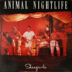 Animal Nightlife –...