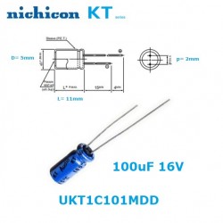Nichicon KT ''Audio'' 100uF...