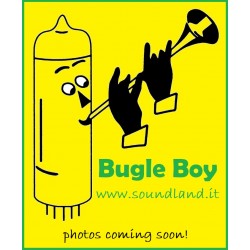 Bugle Boy 6V6GT-RU-Q...