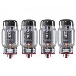 TAD KT88 RedBase, selected amplifier tubes selected in QUAD