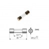 Fuse 100mA MEDIUM BLOW, 5x20mm